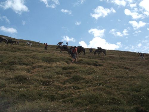 trekking con i muli-94.JPG